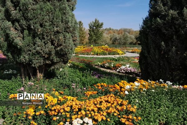 باغ گیاه‌شناسی ملی ایران