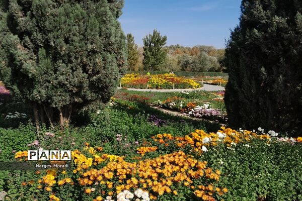 باغ گیاه‌شناسی ملی ایران