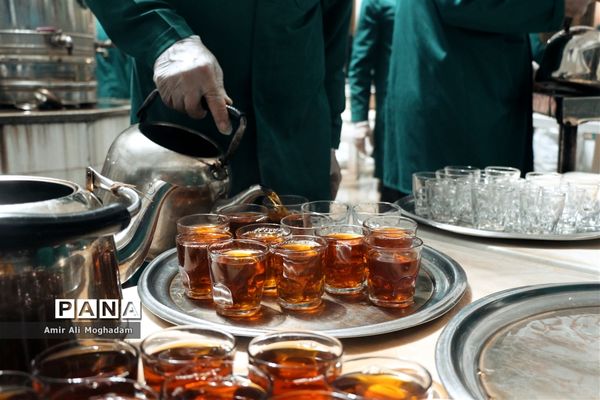 ولادت حضرت رضا (ع) در مشهد مقدس