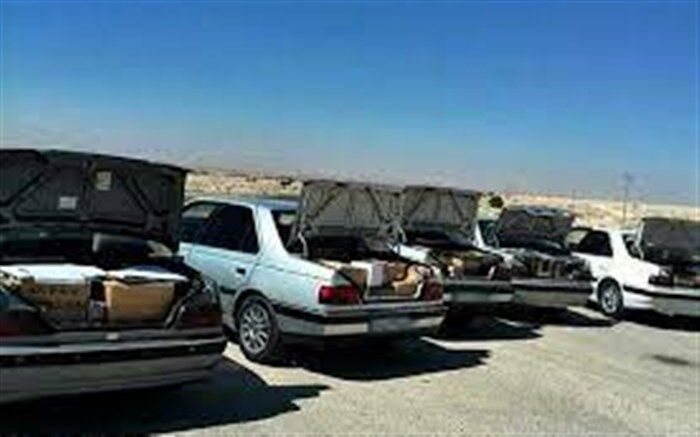 شوتی‌ها امسال 12 نفر را در خراسان جنوبی کشتند