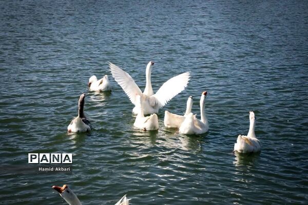 بازدید استاندار آذربایجان‌ غربی از مکان‌های تاریخی ارومیه