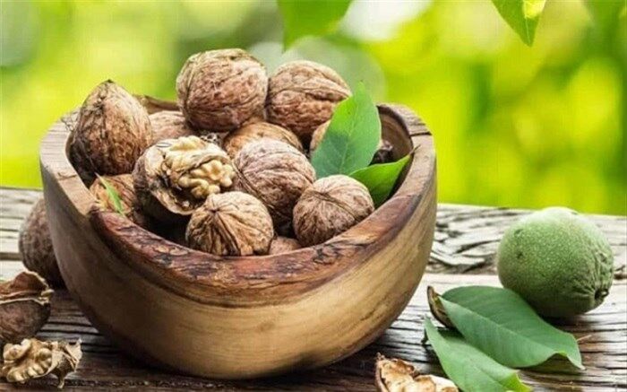 افزایش 150 درصدی صادرات گردو به 10 کشور جهان