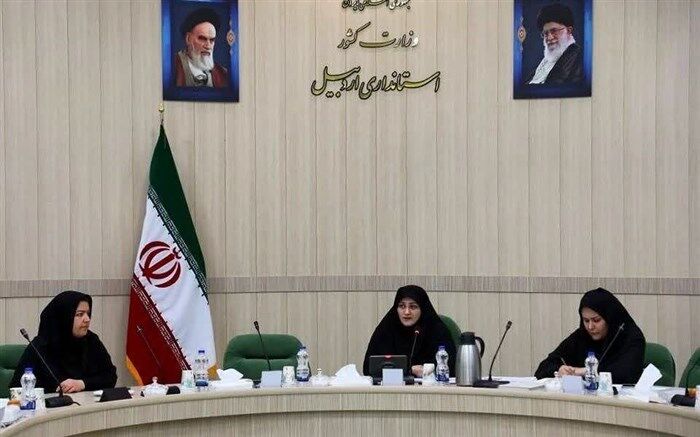 جوانی جمعیت و کسب‌وکار خانواده‌محور، از محور‌های مهم حوزه بانوان و خانواده در اردبیل