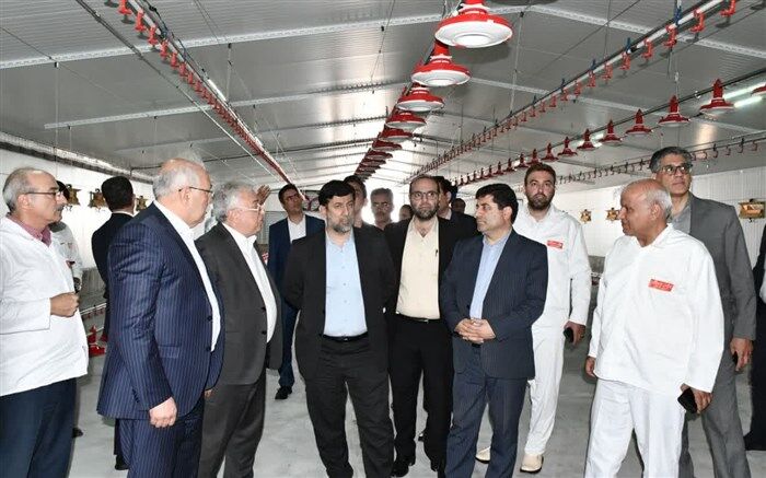 بازدید سرپرست وزارت جهاد کشاورزی از زنجیره تامین مرغ گوشتی آذربایجان خاوری