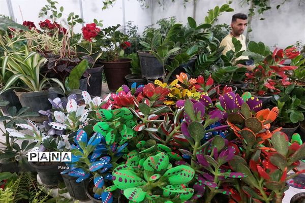 نمایشگاه گل و گیاه در تبریز