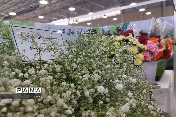 نمایشگاه گل و گیاه در تبریز