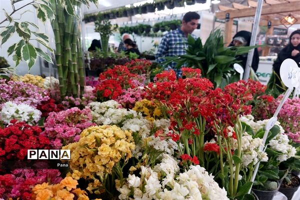 نمایشگاه گل و گیاه در تبریز