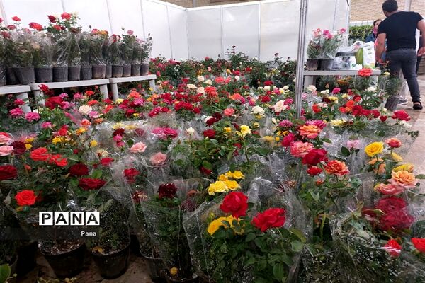 نمایشگاه گل و گیاه در تبریز