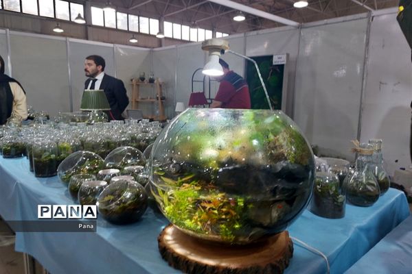 نمایشگاه گل و گیاه در تبریز