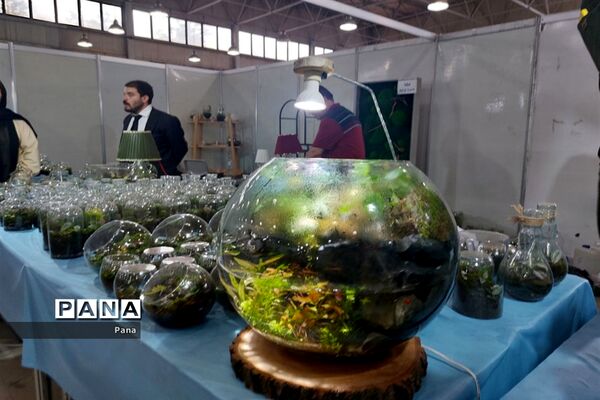 نمایشگاه گل و گیاه در تبریز