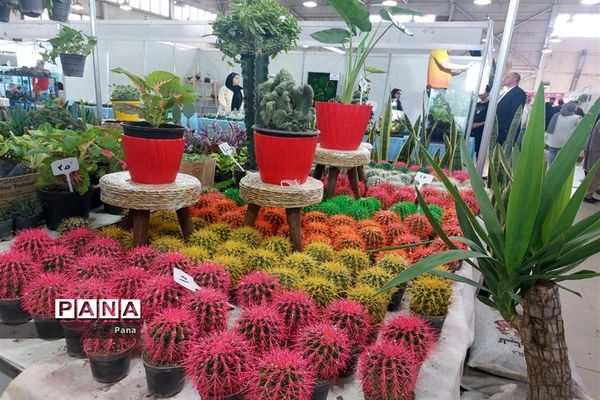 نمایشگاه گل و گیاه در تبریز