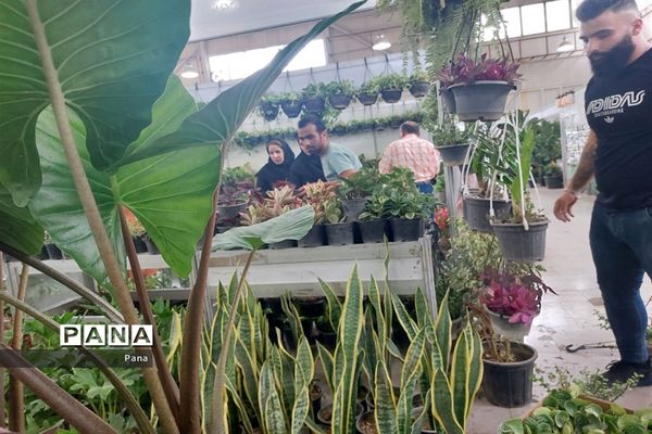 نمایشگاه گل و گیاه در تبریز