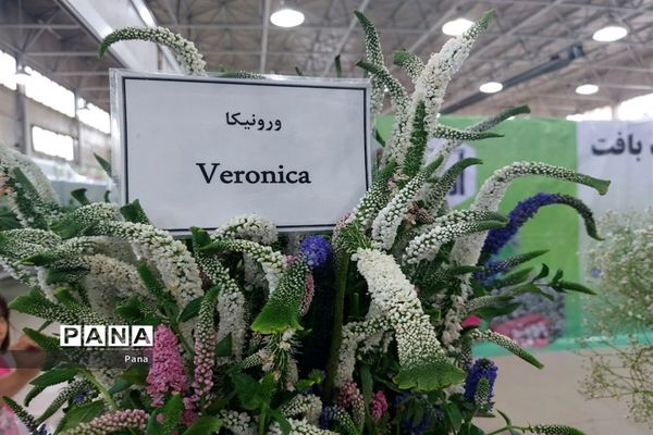 نمایشگاه گل و گیاه در تبریز