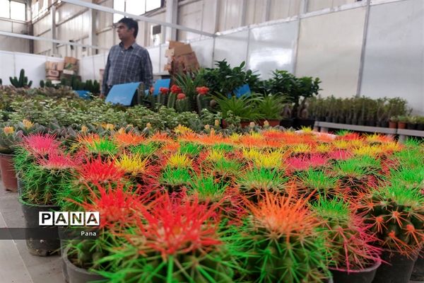 نمایشگاه گل و گیاه در تبریز