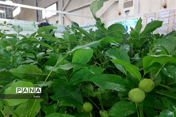 نمایشگاه گل و گیاه در تبریز