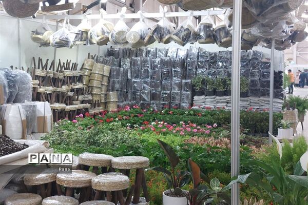 نمایشگاه گل و گیاه در تبریز