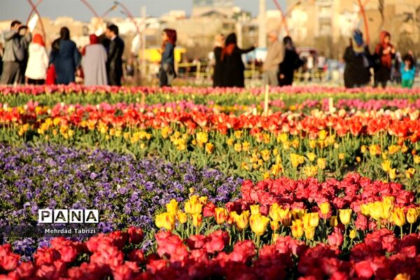 گل و گیاه در طبیعت زیبای ارومیه