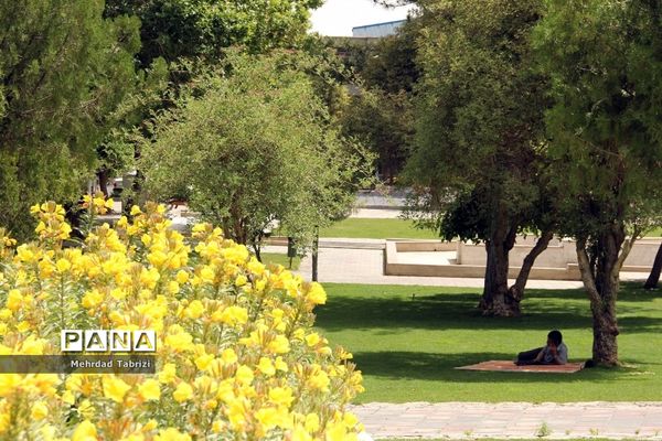 گل و گیاه در طبیعت زیبای ارومیه