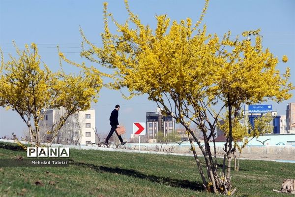 گل و گیاه در طبیعت زیبای ارومیه