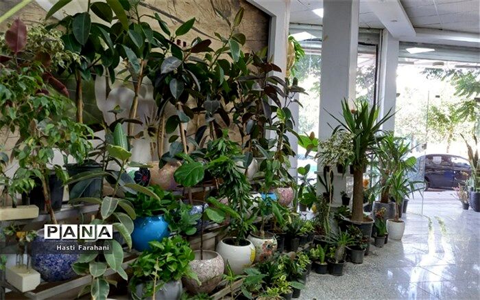 بازدید از گلخانه شهرستان قرچک به‌مناسبت روز ملی گل‌و‌گیاه/فیلم