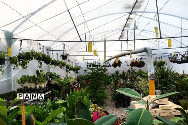 احداث اولین گلخانه روستای باقرآباد قم در روز ملی گل و گیاه