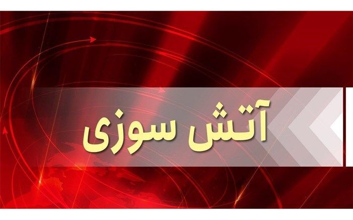 جزئیات حریق یک منزل مسکونی در نیاوران تهران