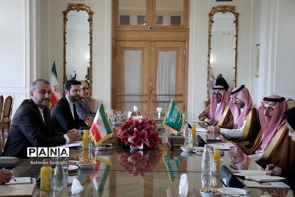 دیدار وزرای خارجه عربستان و ایران