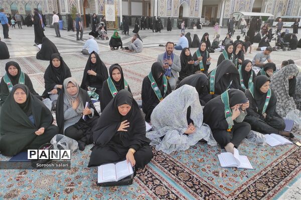 قرائت زیارت عاشورا توسط مربیان سازمان دانش‌آموزی شهرستان داراب در حرم مطهر امام رضا (ع)