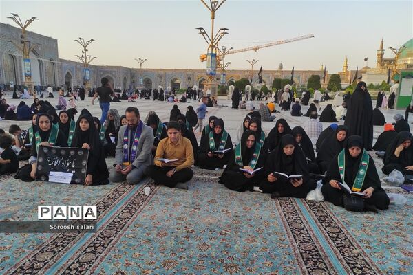 قرائت زیارت عاشورا توسط مربیان سازمان دانش‌آموزی شهرستان داراب در حرم مطهر امام رضا (ع)