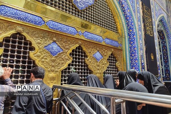 حال‌و‌هوای حرم ضامن آهو در سالروز شهادت جوادالائمه امام محمد‌تقی(ع)
