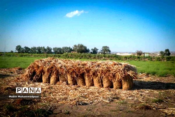 تیمورلو، پایتخت سیر ایران