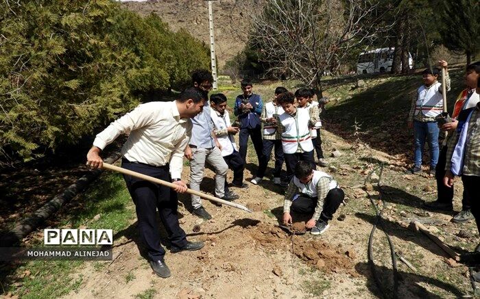 درختکاری یک بسته کامل تربیتی برای دانش‌آموزان است