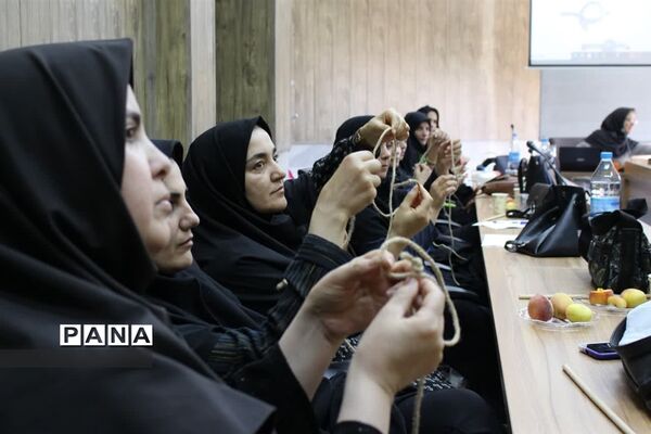 برگزاری دوره آموزشی مهارت‌های تشکیلاتی در زنجان