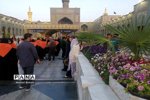 حس و حال زائر اولی‌ها در اردوگاه ثامن الحجج(ع) مشهد