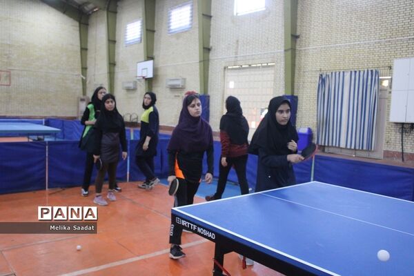 دوره آموزش تنیس روی میز در بوشهر