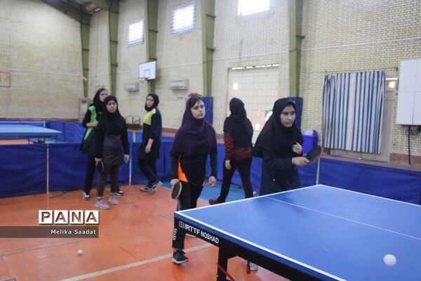 دوره آموزش تنیس روی میز در بوشهر