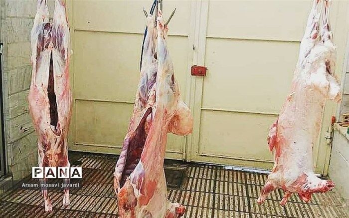 آمادگی کمیته امداد فارس به منظور جمع‌آوری و توزیع نذورات قربانی