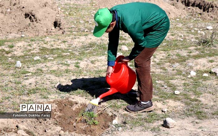 بررسی نقش هنرستان‌های کشاورزی در تأمین امنیت غذایی کشور