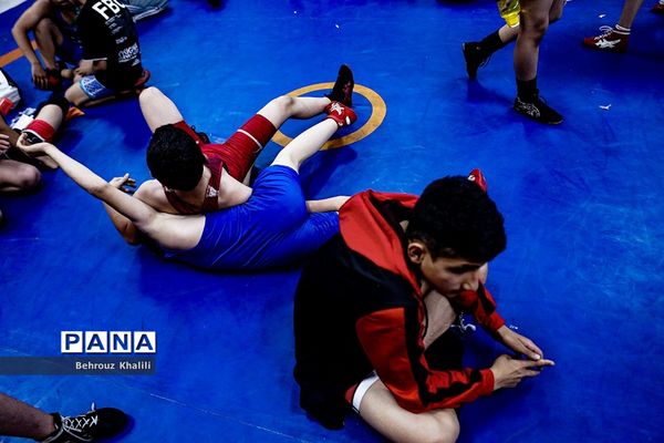 اولین جشنواره کشتی آزاد خردسالان جام پهلوانک‌ها