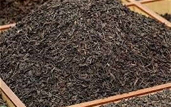 قیمت چای خشک داخلی متناسب با افزایش هزینه‌های تولید است