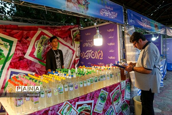 جشن‌ «ایران آینده ۲» در فرهنگ‌سرای رازی