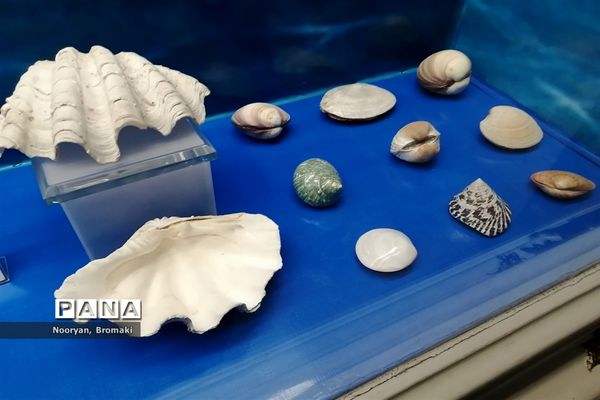 بازدید دانش‌آموزان زیارت اولی از موزه رضوی حرم امام رضا (ع)