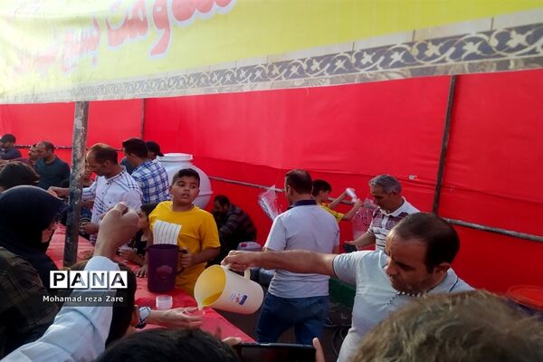 همایش بزرگ پیاده‌روی عید غدیرخم در کاشمر