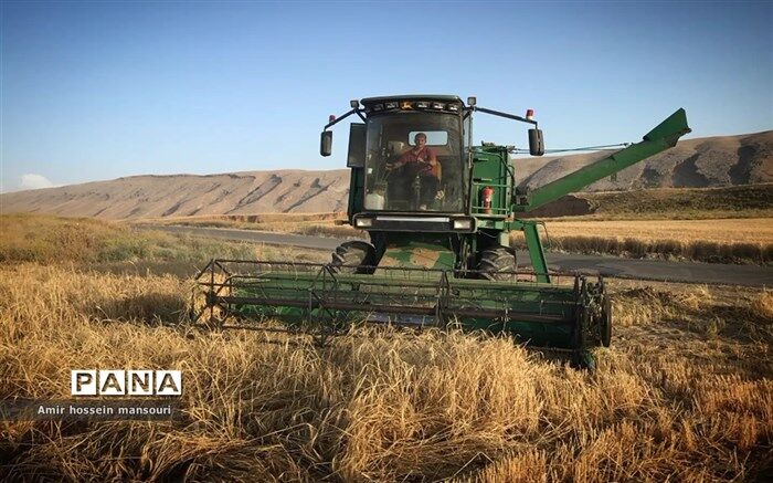 خرید تضمینی گندم از مرز ۶ میلیون تن فراتر رفت