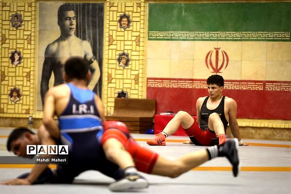 تمرین تیم ملی کشتی فرنگی نوجوانان و بزرگسالان