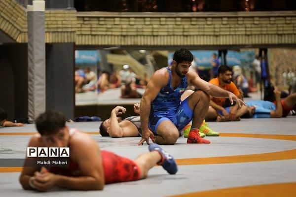 تمرین تیم ملی کشتی فرنگی نوجوانان و بزرگسالان