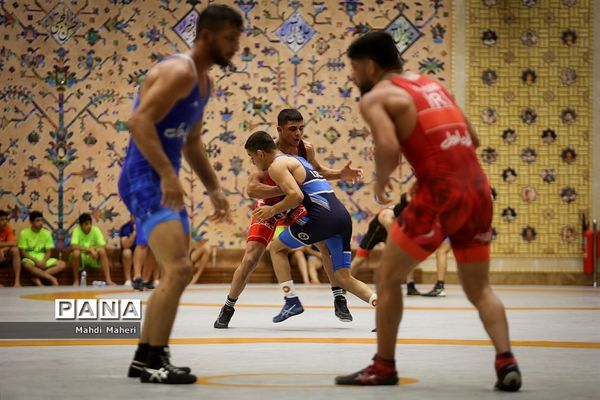 تمرین تیم ملی کشتی فرنگی نوجوانان و بزرگسالان