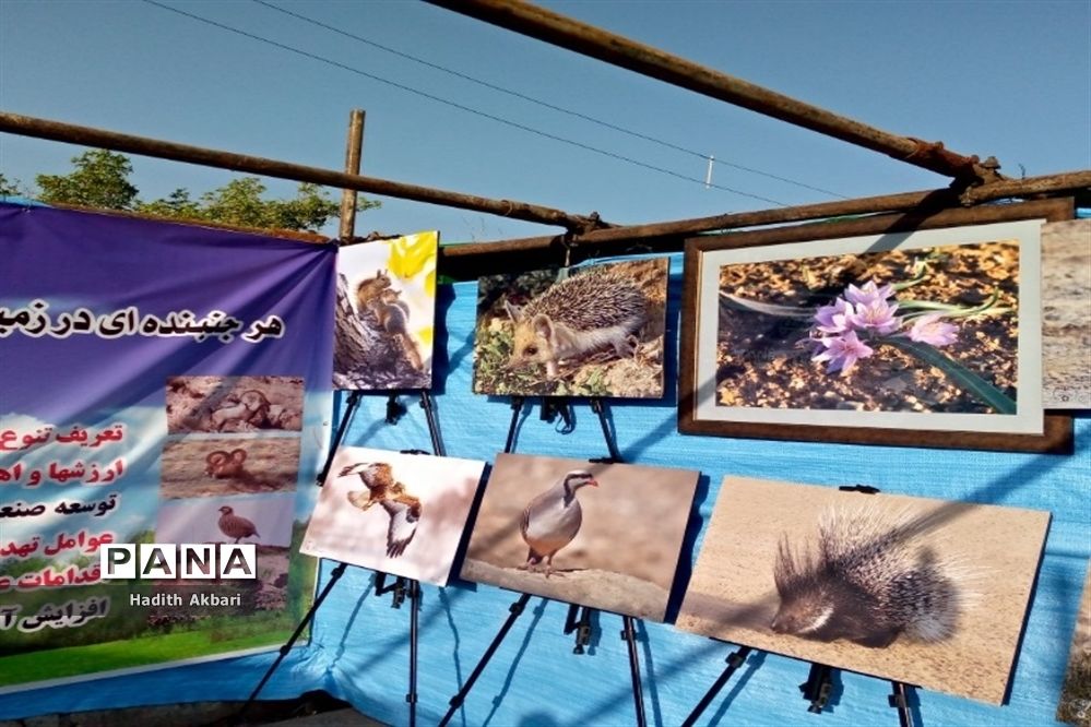 برگزاری نمایشگاه در شهرستان بن به‌مناسبت نکوداشت روز بن