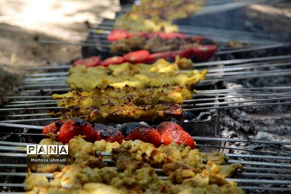پخت‌و‌پز دانش‌آموزی در اردوی یاورمربیان پیشتاز