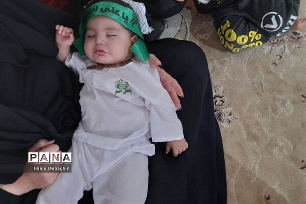 همایش شیرخوارگان حسینی در شریف‌آباد
